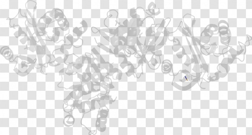 Line Art Drawing White /m/02csf - Black And - Momordica Charantia Transparent PNG