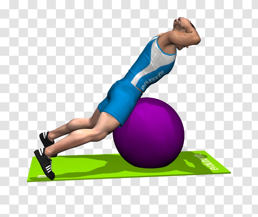 Exercise Balls Sport Abdomen Esercizi Multiarticolari - Silhouette - Yoga Ball Transparent PNG