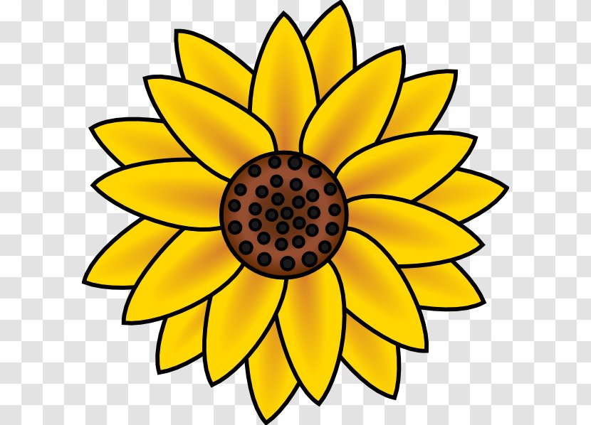 Common Sunflower Free Content Clip Art - Symmetry - Country Flowers Cliparts Transparent PNG