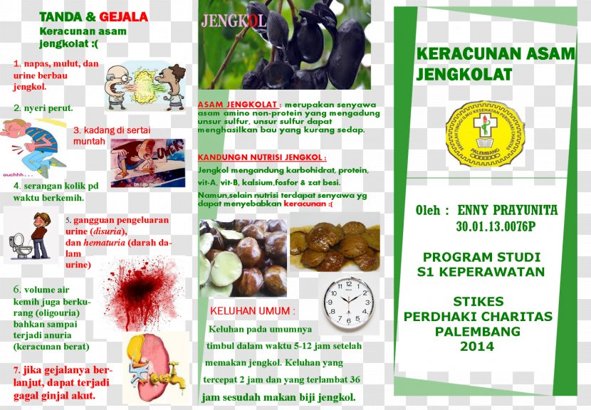 Djenkolic Acid Flyer Disease Hematuria - Buka Bareng Transparent PNG