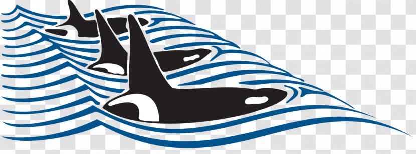 Friday Harbor Whale Watching Clip Art - Boat - Images Free Transparent PNG
