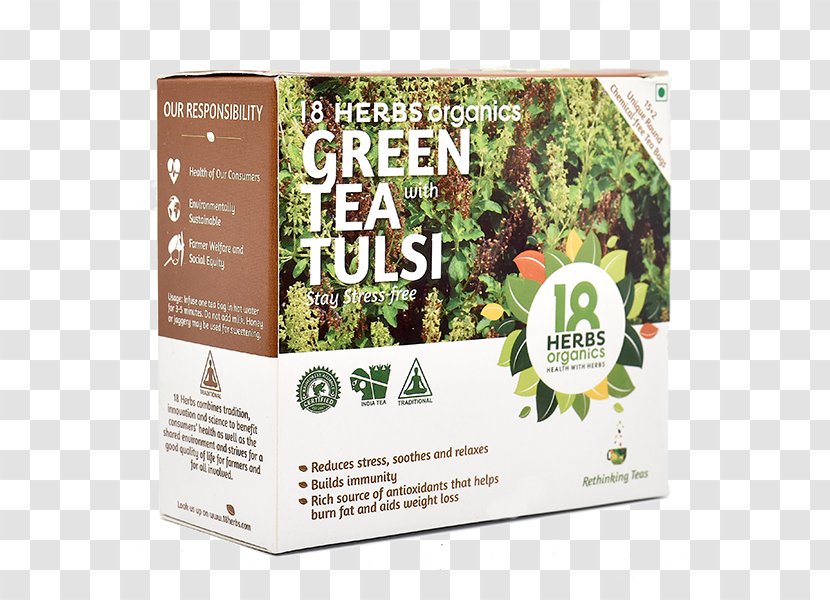 Green Tea Herb Holy Basil Organic Food Transparent PNG