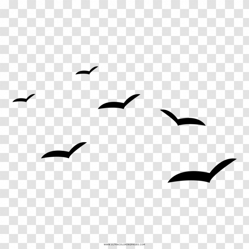 Gulls Drawing Coloring Book Black And White Painting - Symbol Transparent PNG