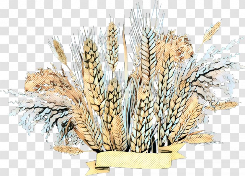 Emmer Grain Tree Wheat - Flower - Plant Transparent PNG