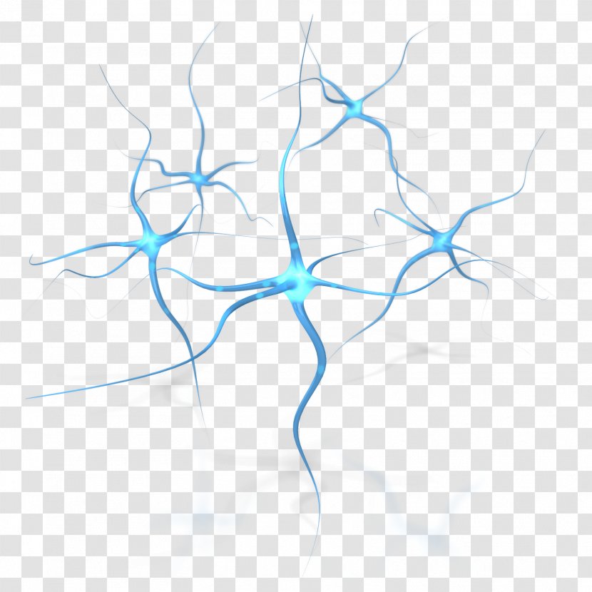 Neuron Human Brain Neuropsychology Clip Art - Psychology - Neurons Transparent PNG