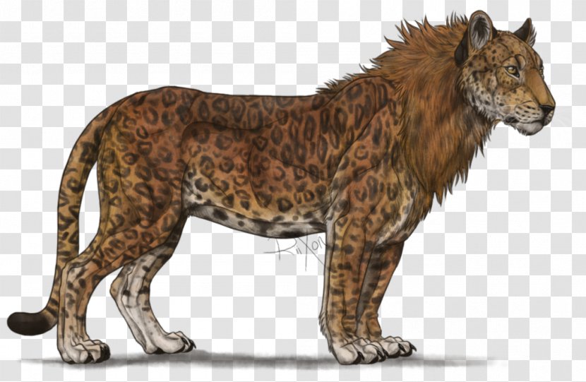 Liger Leopard Lion Tiger Cheetah - Animal Figure - Blackish Transparent PNG