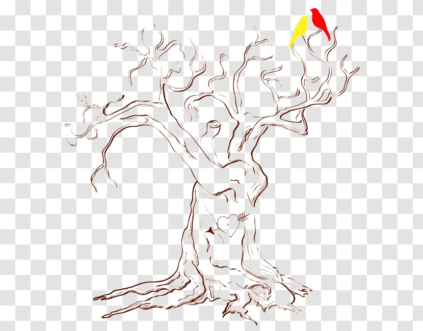 Tree Drawing Branch Clip Art - Cartoon Transparent PNG