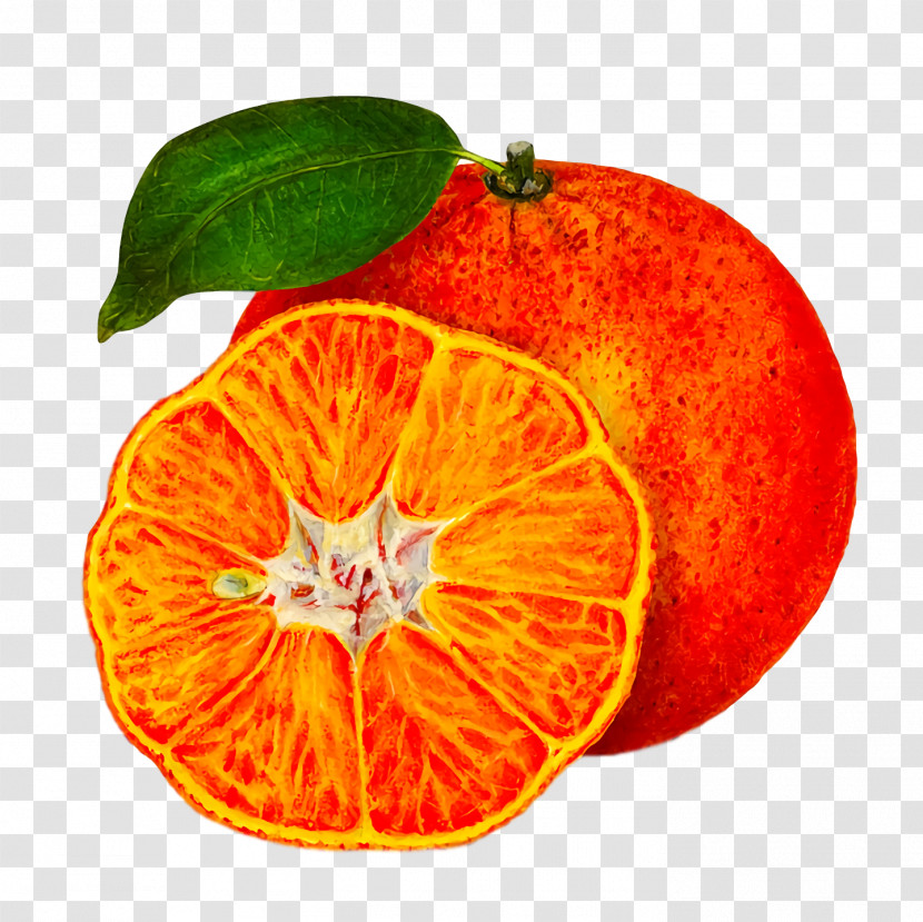 Orange Transparent PNG