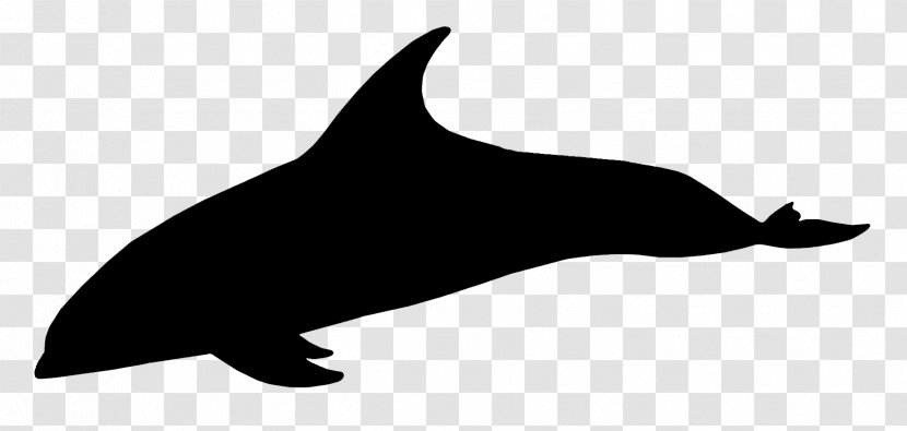 Dolphin Porpoise Whales Clip Art Fauna - Cetaceans - Spinner Transparent PNG