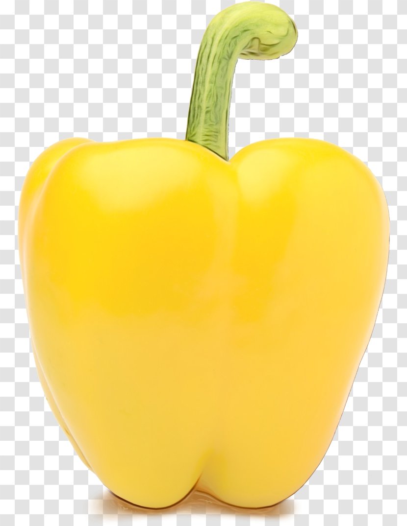 Bell Pepper Yellow Pimiento Peppers And Chili Capsicum - Paprika Plant Transparent PNG