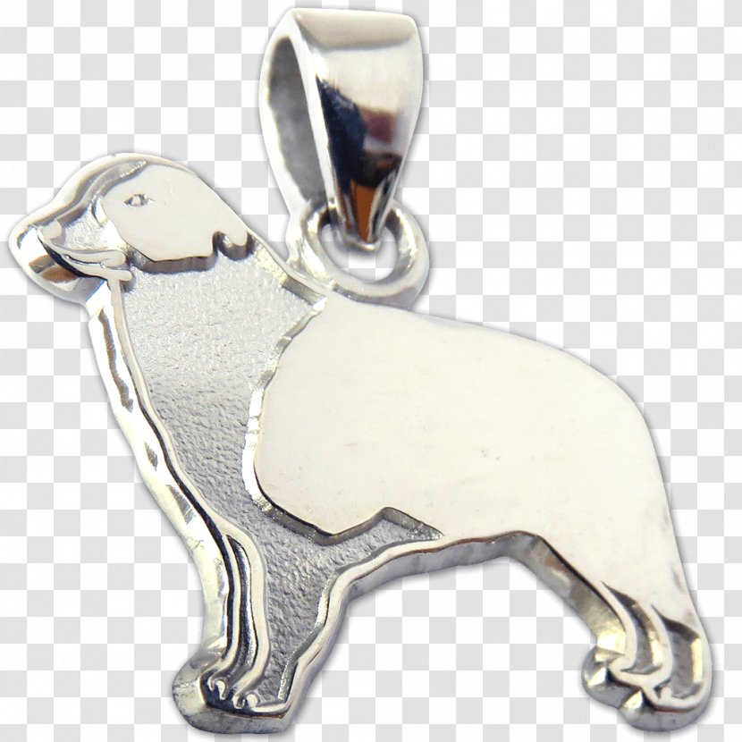 Dog Charms & Pendants Silver Body Jewellery - Carnivoran Transparent PNG