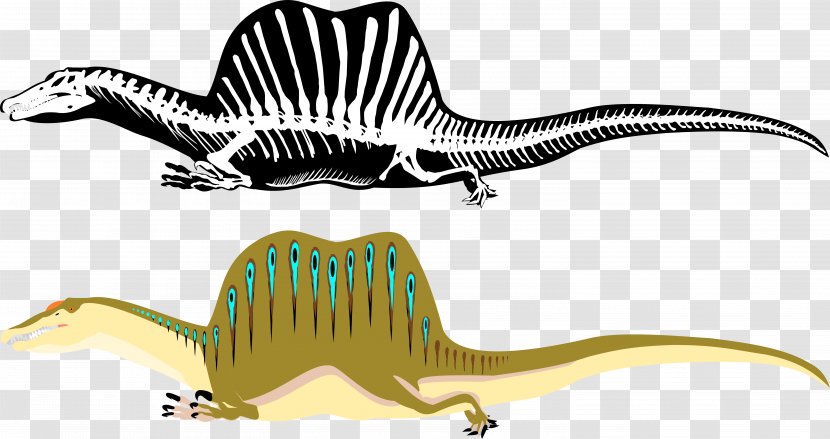 Spinosaurus Tyrannosaurus Dinosaur Therizinosaurus Acrocanthosaurus - Extinction - Jurassic Park Transparent PNG