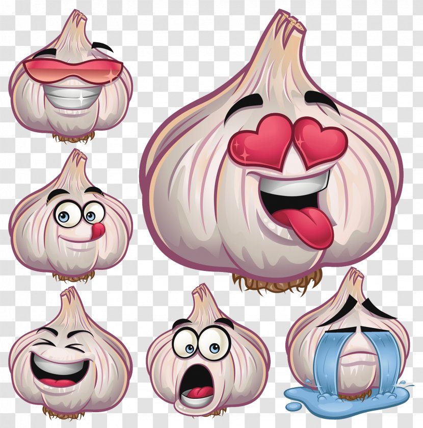 De Historia Stirpium Commentarii Insignes Garlic Cartoon Illustration - Drawing - Image Transparent PNG