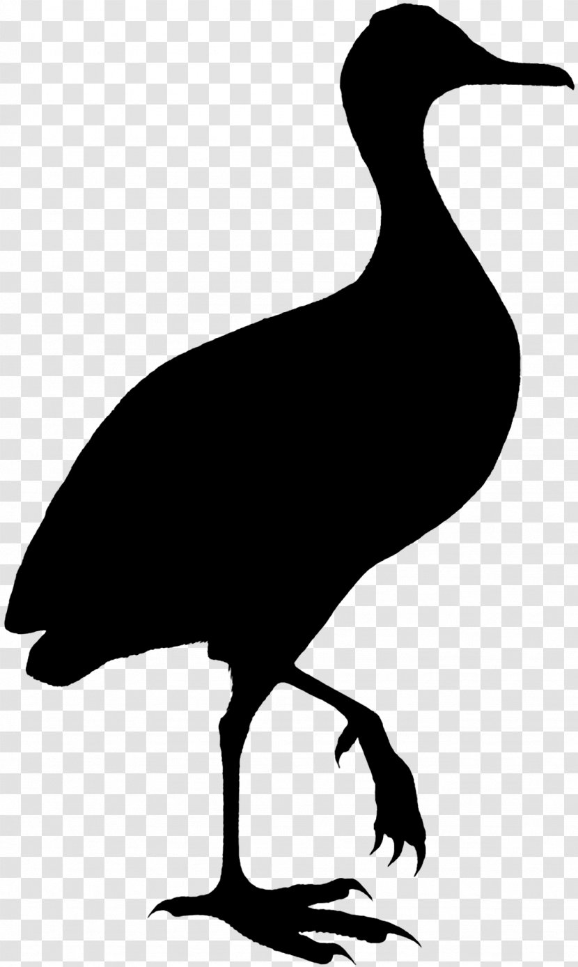 Duck Bird Goose Crane Clip Art - Cranelike - Silhouette Transparent PNG