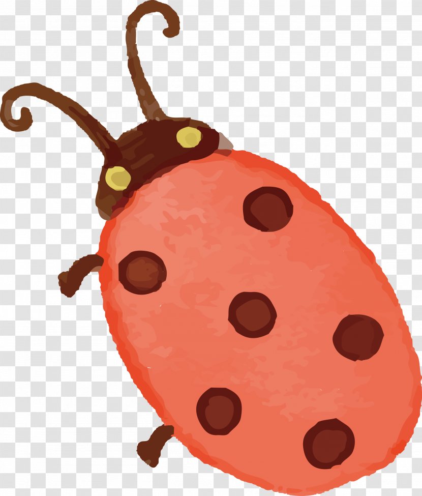 Ladybird Computer File - Insect - Ladybug Animal Transparent PNG