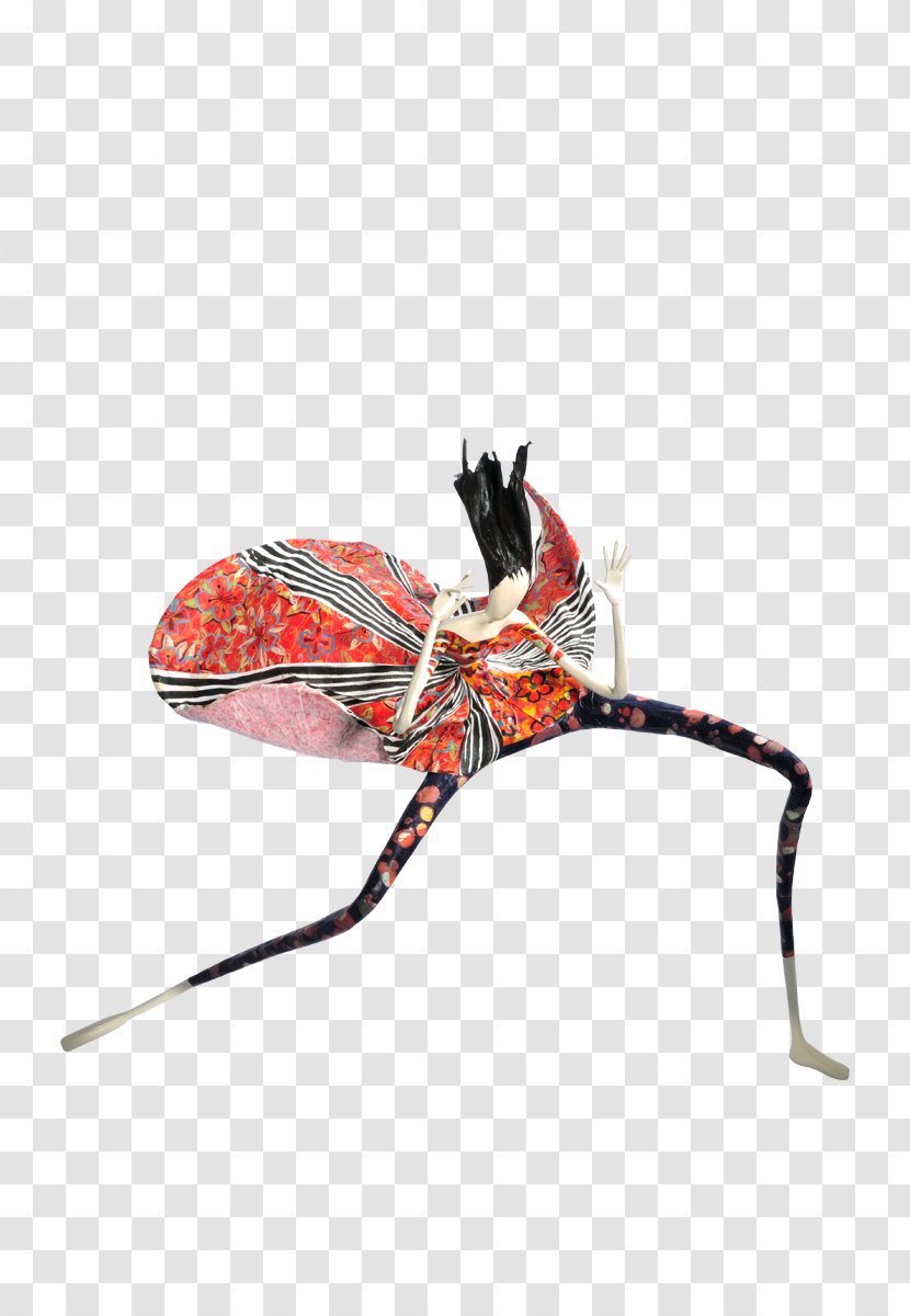 Clothing Accessories Insect Fashion Accessoire Transparent PNG