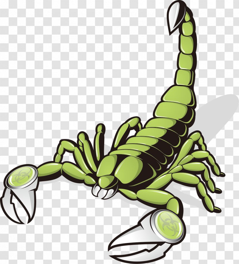 Scorpion Euclidean Vector Clip Art - Plant - Exquisite Transparent PNG