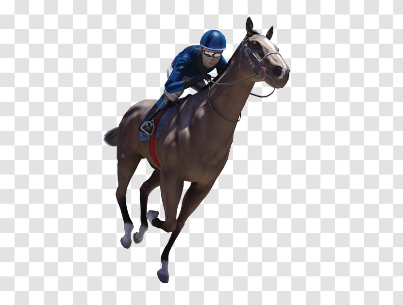 Horse Racing Jockey Stallion Sports Betting - Show Transparent PNG