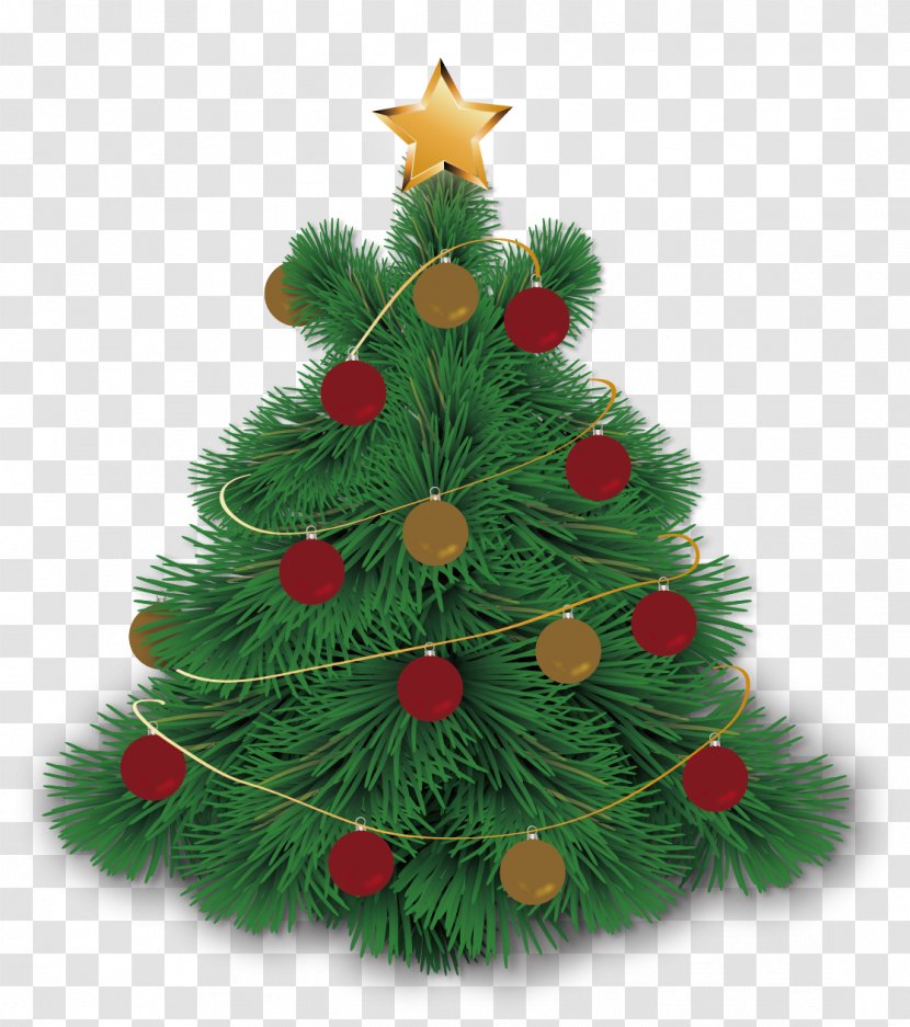 Christmas Tree Euclidean Vector - Fir - Hand-painted Transparent PNG