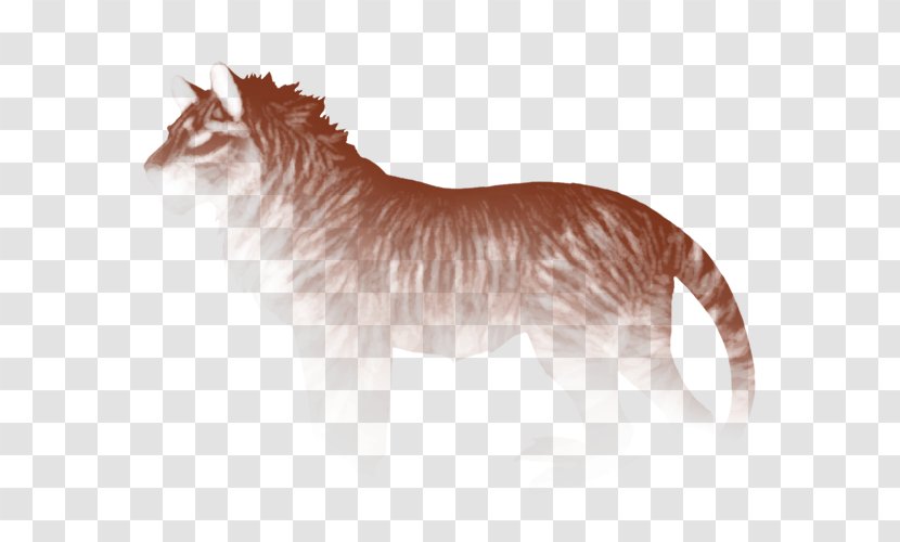 Cat Dog Felidae Lion Whiskers - Wildlife - Henna Transparent PNG