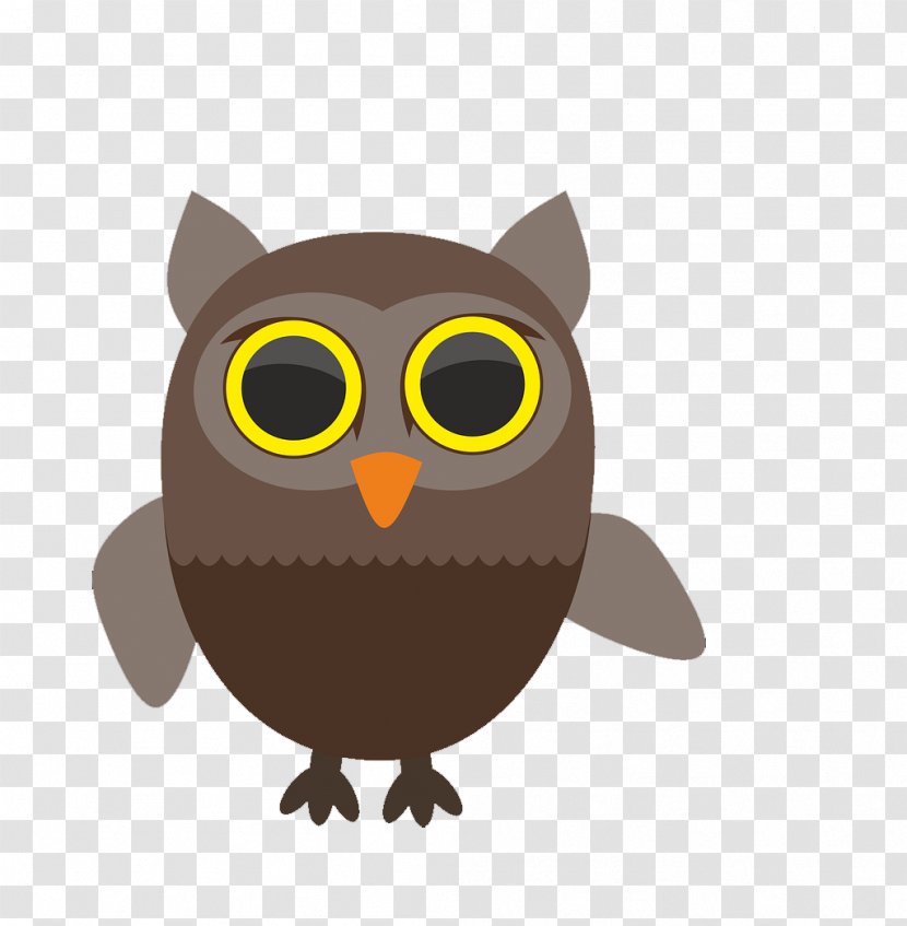 Bird Owl Illustration - Of Prey - Cartoon Transparent PNG