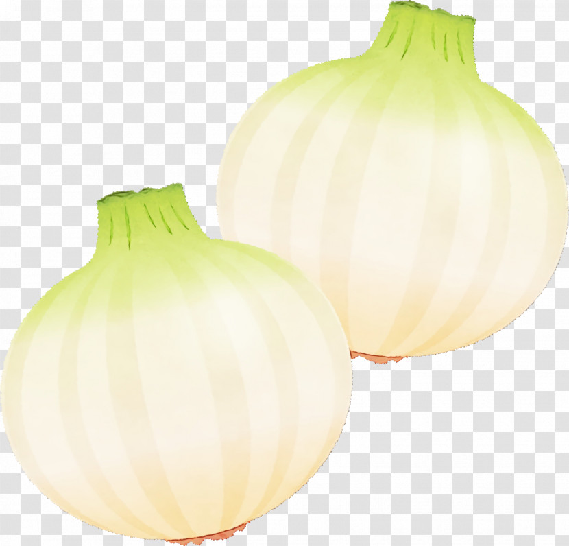 Yellow Onion Onion Yellow Transparent PNG