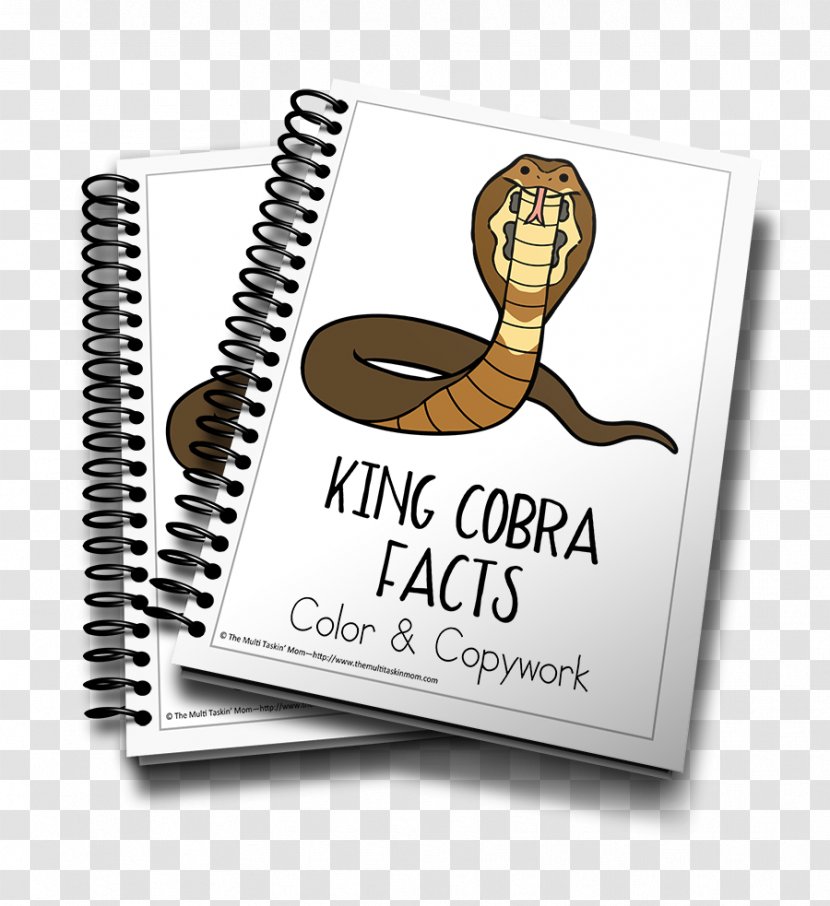 Book Of Jonah Bible Flip E-book - Lesson - King Cobra Transparent PNG