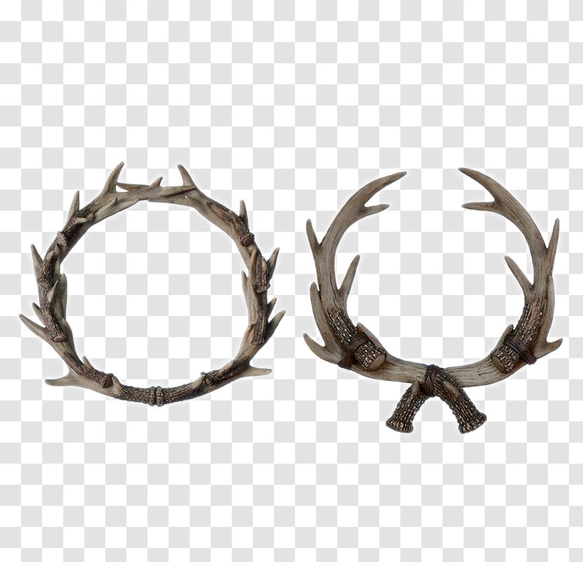 Moose Antler Elkhorn Fern - Antlers Home Decoration Transparent PNG