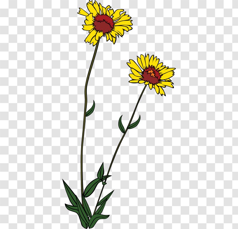 Wildflower Clip Art - Petal - Wild Flowers Transparent PNG