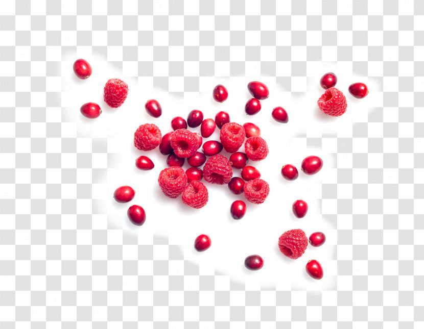 Cranberry Lingonberry Accessory Fruit Food Blueberry - Heart Transparent PNG