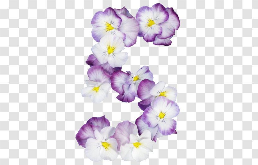 Pansy Alphabet Lettering Font - Lilac - Moth Orchid Transparent PNG