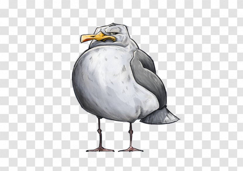 European Herring Gull Gulls Goose Bird Cygnini - Seabird Transparent PNG