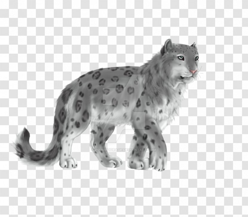 Whiskers Snow Leopard Cat Fur - Animal Figure Transparent PNG