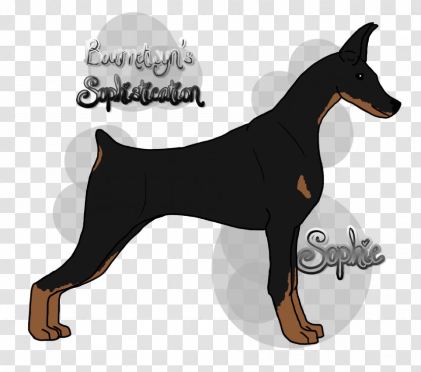 Dobermann German Pinscher Miniature Manchester Terrier Bulldog - Dog - Rng Transparent PNG