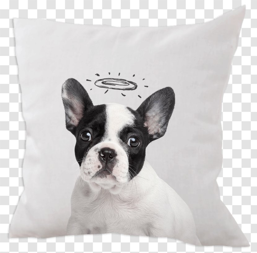 French Bulldog Toy Jack Russell Terrier Bull - Stock Photography - Puppy Transparent PNG