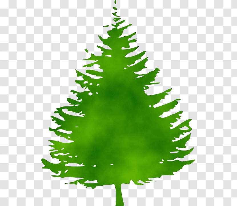 Pine Tree Fir Silhouette Conifers Transparent PNG