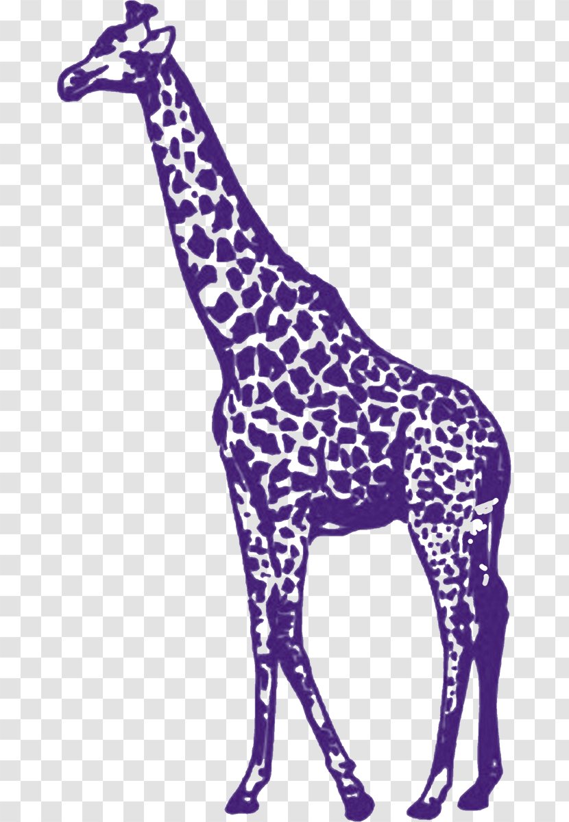 Purple Giraffe Stencil YouTube Clip Art - Mammal - Creative Advertising Transparent PNG