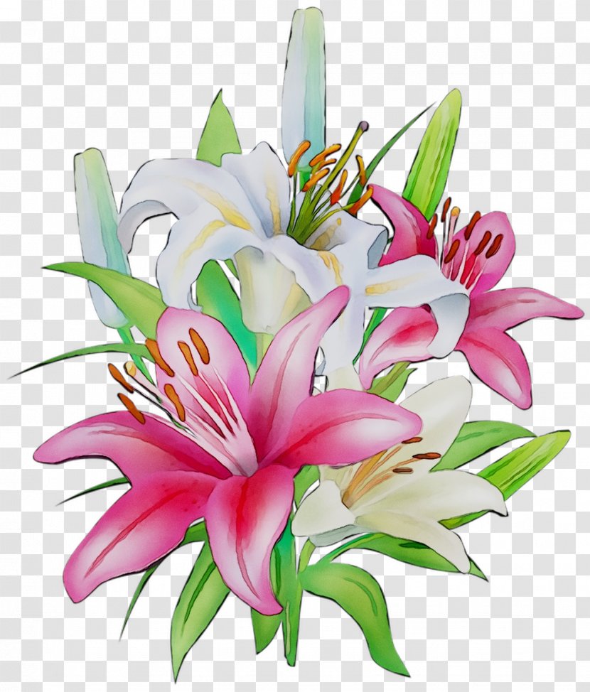 Floral Design Flower Image Drawing Painting - Lily Transparent PNG