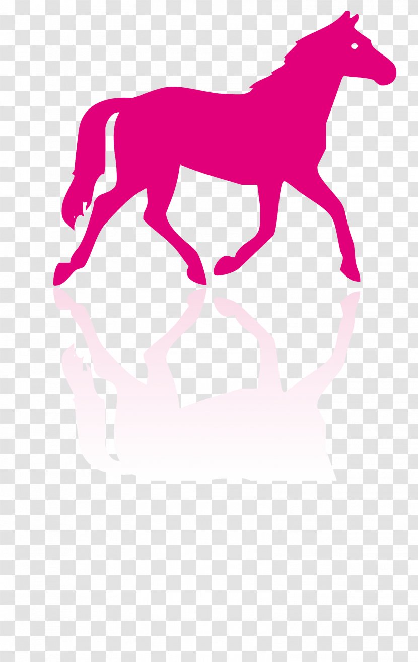 Horse Cartoon - Foal - Stallion Transparent PNG