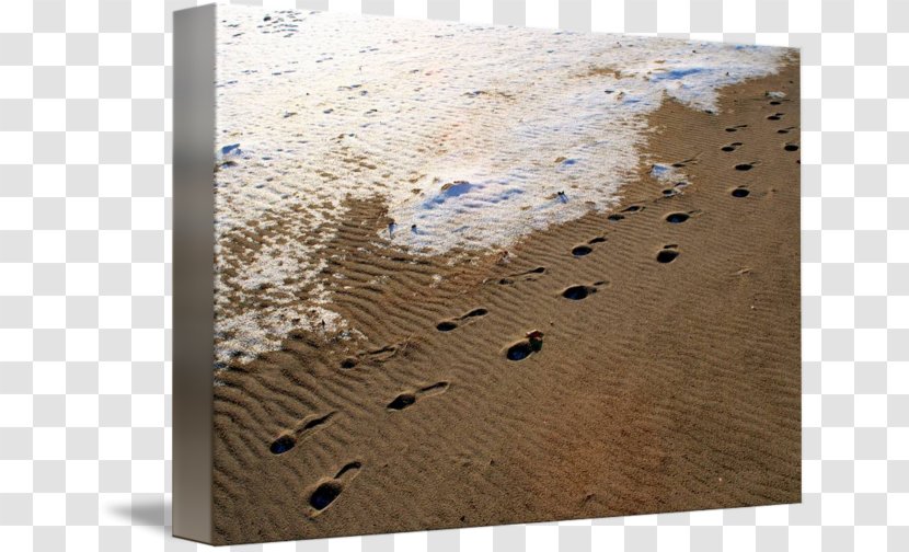 Wood /m/083vt - Sand Print Transparent PNG