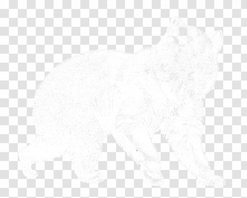 White Line Material - Black And Transparent PNG