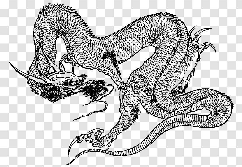 Chinese Dragon Serpent Tattoo Irezumi - Wildlife Transparent PNG