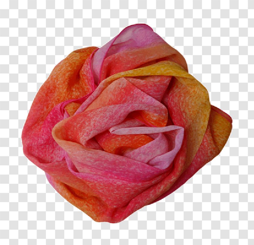 Garden Roses Cabbage Rose Petal Cut Flowers - Pink M - Mentos Transparent PNG