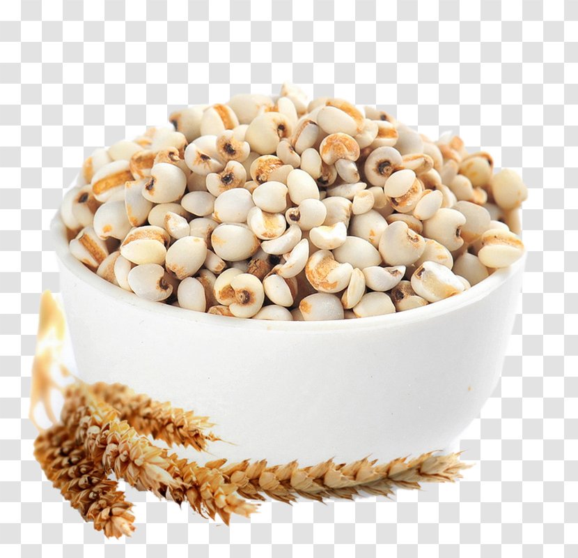 Tea Adlay Rice Cereal Seed - HD Bowl Of Barley Transparent PNG