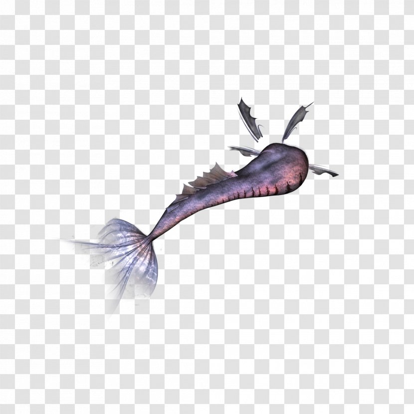 Mermaid Tail - 3d Computer Graphics - Clip Buckle Free Transparent PNG