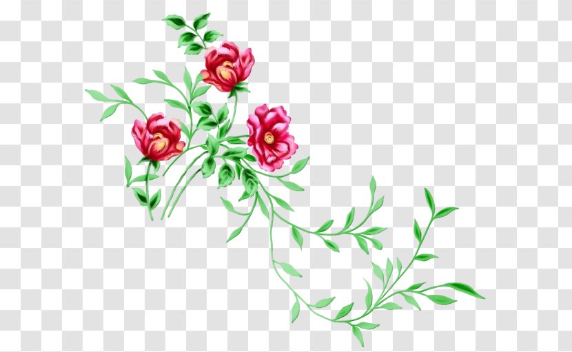 Flower Plant Flowering Pedicel Clip Art - Wildflower Stem Transparent PNG