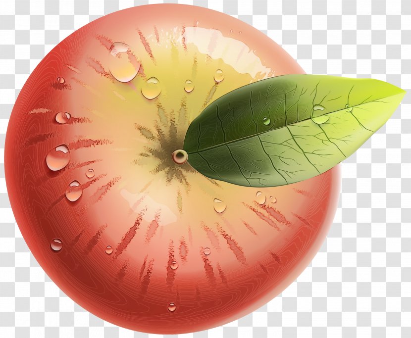 Apple Leaf - Plant - Fruit Transparent PNG