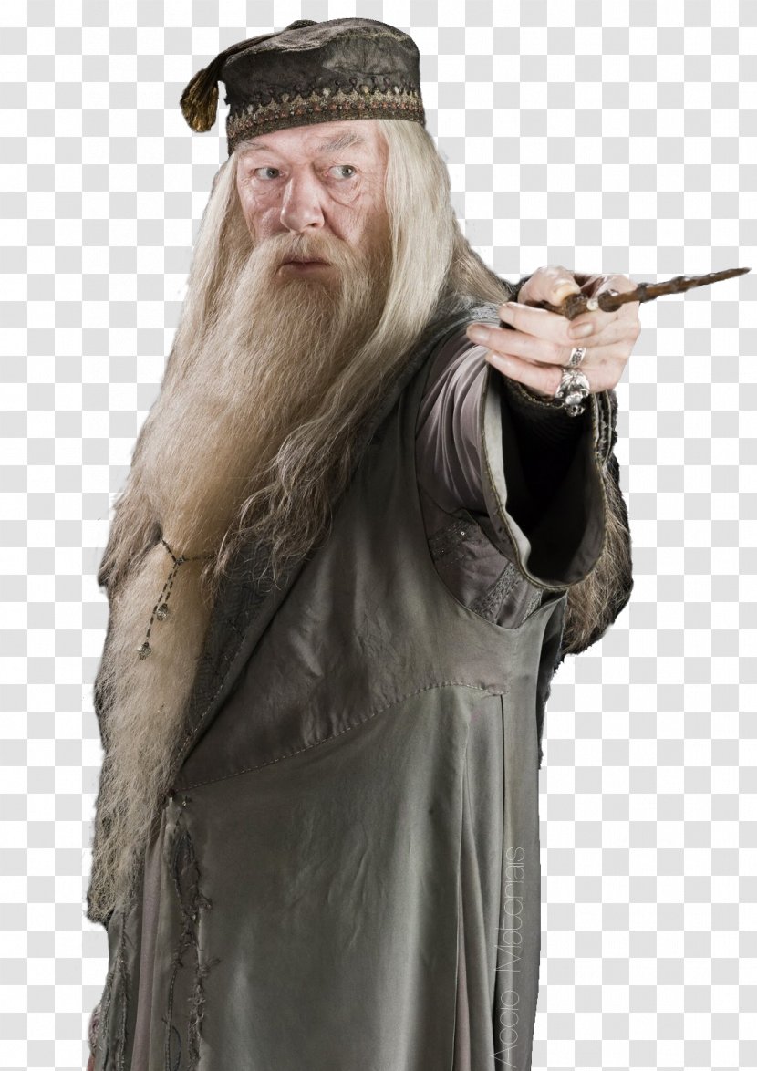 Albus Dumbledore Harry Potter Professor Severus Snape Fantastic Beasts: The Crimes Of Grindelwald - Film Transparent PNG