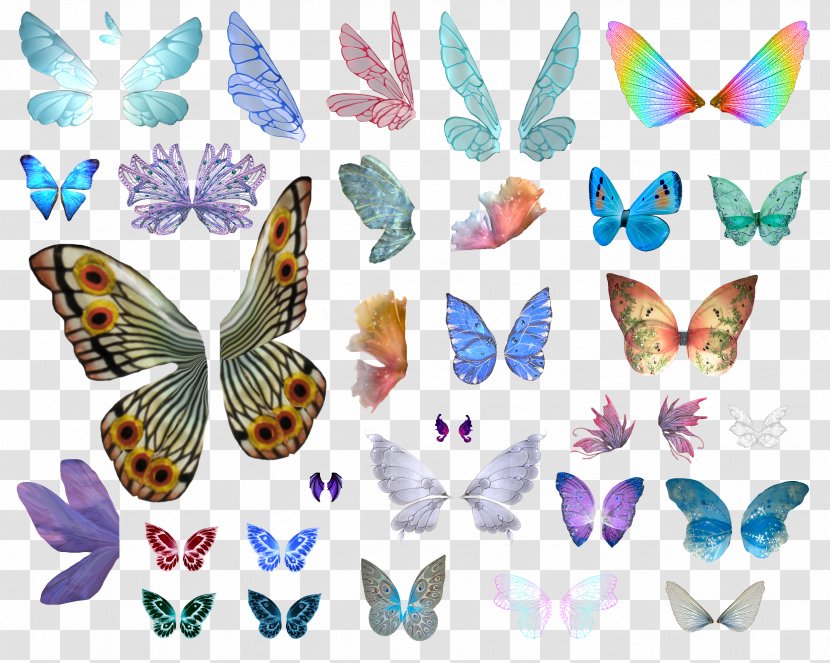 Butterfly Clip Art - Pollinator Transparent PNG