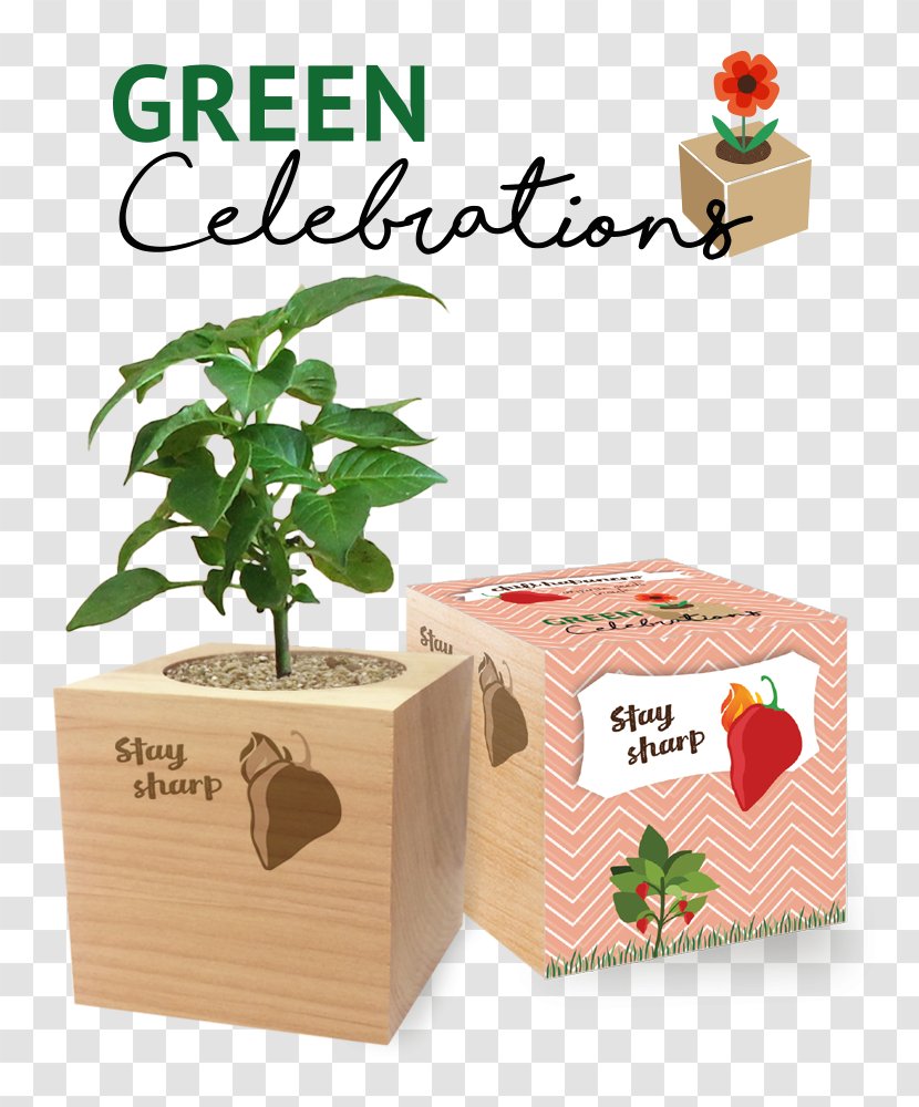 Sustainability Box Logo Advertising Media Selection - Carton - Green Promotions Transparent PNG